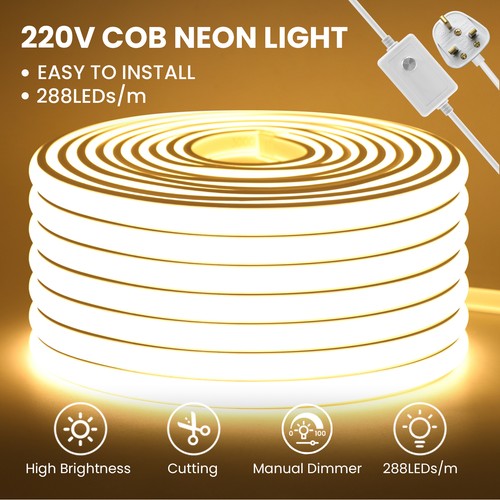 Professional 230v mains - professional,