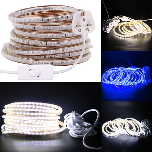 Mains plug led strip lights - mains, in